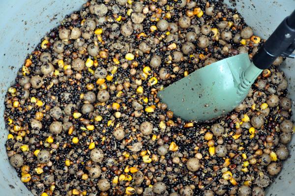 pop up cu clipsuri - nada-predominanta-este-un-amestec-de-seminte-pelete-si-boiliesuri.jpg